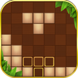 Icoon van programma: Block Puzzle World
