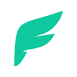 Programikonen: Flyfer прокат электросамо…