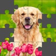 أيقونة البرنامج: Puzzle World - Jigsaw Puz…