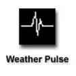 Weather Pulse