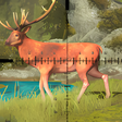Programikonen: Deer Hunt Games-Shooting …