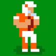 プログラムのアイコン：Retro Bowl