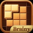 Programikonen: Brainy Block - Wood Puzzl…