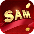 Иконка программы: SAM86