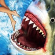 Icon of program: Shark Attack : Fun Fish G…