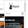 Иконка программы: Bilgeyik