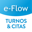 Ícone do programa: e-Flow