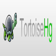 Programikonen: TortoiseHg