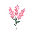 Programın simgesi: Fleur: Cute Budget Planne…