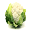 程序图标：Cauliflower-IFC