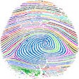 Иконка программы: Chapp Browser Fingerprint