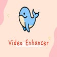 Icoon van programma: Video Enhancer - Color Gr…