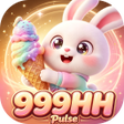 程序图标：999HHPulse