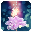 Programikonen: Butterfly Wallpapers