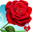 程序图标：Red Rose Heart Pin Lock S…