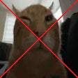 프로그램 아이콘: Easy Emote Blocker