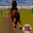 Ikon program: Jumping Horse 3D