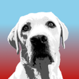 程序图标：Warn-App-Companion