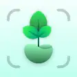 Plantics: AI Plant Identifier