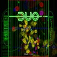 程序图标：DUO