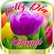 程序图标：Feliz Día de la Madre 202…