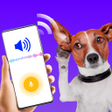 أيقونة البرنامج: Dog  Cat Translator Prank