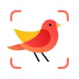 Symbol des Programms: Picture Bird: Birds Ident…