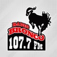 프로그램 아이콘: Radio Bronco 107.7