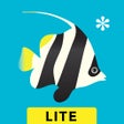Programikonen: Peek-a-Zoo Underwater LIT…