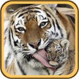 Programikonen: Animal Family Sounds