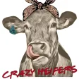 Crazy Heifers Wholesale