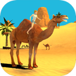 程序图标：Camel Simulator