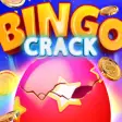 Bingo Crack