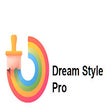 Dream Style Pro icon