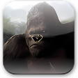 Icoon van programma: Bobbejaanland KingKong Sc…