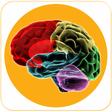 プログラムのアイコン：Brain Foods