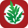 Icon of program: Signalement Ambroisie