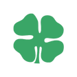 Programikonen: Celtic news now