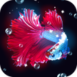 プログラムのアイコン：Tropical Fish Live Wallpa…