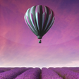 Programikonen: Hot Air Balloon Live Wall…