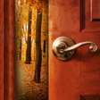 Programikonen: Escape Games: Forests and…