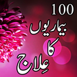 プログラムのアイコン：100 Bemarion Ka Ilaj
