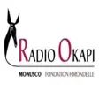 程序图标：Radio Okapi RDC