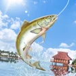 Иконка программы: Fishing Master : Lets Fis…