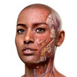 Programın simgesi: Complete Anatomy 21