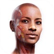 Programikonen: Complete Anatomy 21
