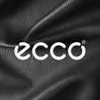 プログラムのアイコン：ECCO Russia