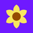 Icon of program: Assistant for SV