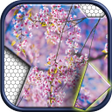 Programikonen: Jigsawnoi: Jigsaw puzzles…