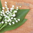 Icon of program: icon & wallpaper-May Day-